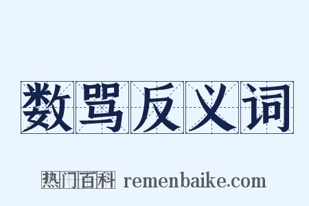 数骂反义词是什么意思的图片